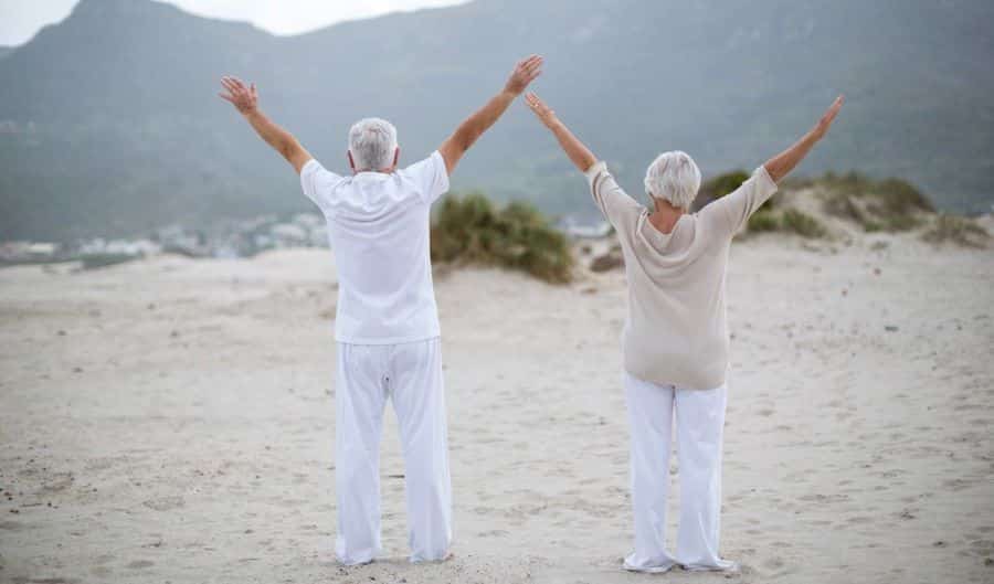 Lincoln optiblend 5 review old couple standing on beach